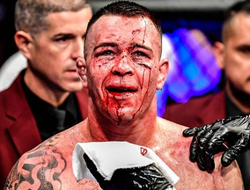 фото - Окровавленный Ковингтон, Рамирес и Постол лицом к лицу, октагон-гёлз UFC 245 — соцсети 