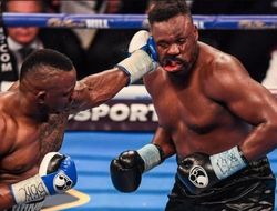фото - Уайт предложил Чисоре третий бой — но не в боксе