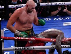 фото - Фьюри нужны победы и над Усиком, и над Джошуа — главред The Ring