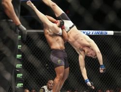 фото - Рекорд Кормье–Густафссона и ещё 32 факта о UFC 192