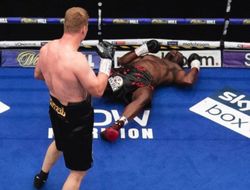 фото - Поветкин всё равно вырубит Уайта — топ-промоутер