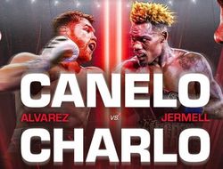 фото - Альварес – Чарло. ВСЕ прогнозы на бой: 37 мнений от боксёров, тренеров, экспертов