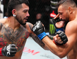 фото - Эрнандес не заметил Перейру. Все результаты турнира UFC Fight Night 245