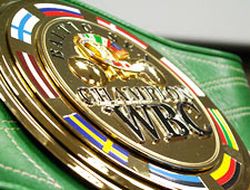 фото - О поединке с Романом Шкарупой и планах