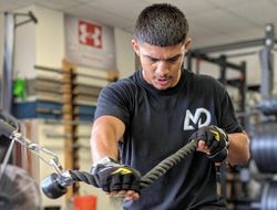 фото - Калифорния также откроется для бокса. На июль запланировано первое шоу