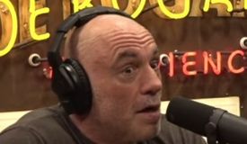 «Опрыскать ё**ный Белый дом пестицидами?» Джо Роган кричит о проблемах супертурнира UFC