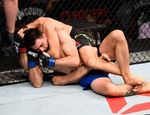 UFC: Майя быстро задушил Кондита