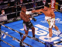 фото - Дэвид Хэй: Дюбуа не был готов к бою с Усиком
