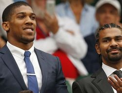 фото - Хэй: Надеюсь, Джошуа не слишком поиздевается над Кличко