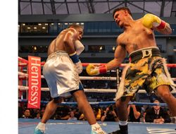 фото - Диас договорился о схватке с Хэйни, но не исключён вариант с Гарсией