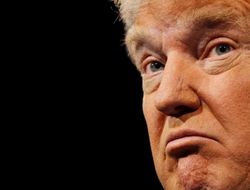 фото - Деды воевали: Дюран готов избить Трампа