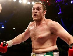 фото - Букмекеры считают, что с Тайсоном Фьюри подерётся Александр Устинов