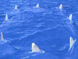 фото - Шкандаль! Бриггс «притопил» Кличко