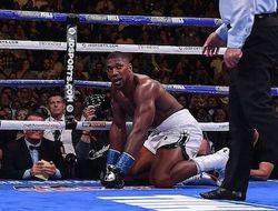 фото - Майк Тайсон поделился мыслями о реванше между Энди Руисом и Энтони Джошуа