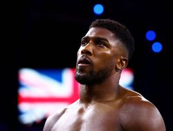 фото - Джошуа изменил планы — камбэк состоится позже. Детали от того, кто всё знает