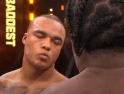 фото - Битва небитых нокаутёров: Уордли уничтожил Аделейе — видео