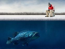 фото - Фото: Виктор Постол результативно релаксирует на рыбалке