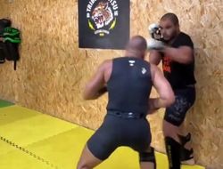 фото - Грядёт великое возвращение? Есть видео спарринг-сессии Макгрегора