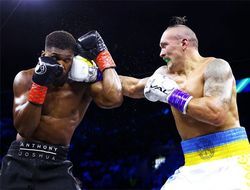 фото - Реакция боксёрской общественности на победу Усика над Джошуа 