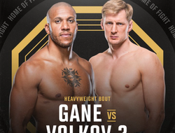 фото - Реванш Сирила Гана и Александра Волкова перенесён