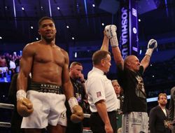 фото - Тренеру Канело предложили готовить Джошуа к реваншу с Усиком