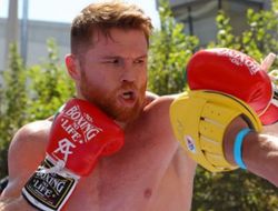 фото - Альварес: Хочу оторвать башку Геннадию Головкину, заставлю сожрать свои слова