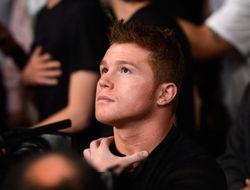 фото - Сауль Альварес: «Мы с Котто нужны друг другу»