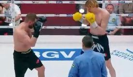 Лапин удосрочил Булмейстарса в главном событии шоу Усика