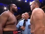 Нистор разочаровал против Дэвиса в бою 100% нокаутёров: видео