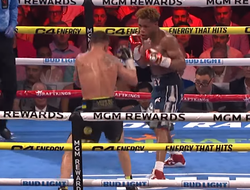 фото - Тренер Дэвиса о поединке Хэйни-Ломаченко: «Он не готов драться с “Танком”»