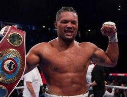 фото - Джойс: «Летом планирую большой бой — с Усиком или Фьюри»