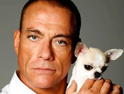 фото - Жан-Клод Ван Дамм: «У Макгрегора есть то, что было у Емельяненко»