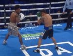 Двоюродный брат Стивенсона побил Медину: видео