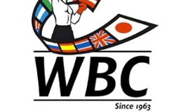 Обновился рейтинг WBC: Беринчик, Меликузиев и Холматов в плюсе
