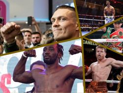 фото - Действующие чемпионы мира по боксу