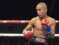 фото - Проспекта Карто на месте срубил матёрый джорнимен Виктор Руис: жуткое видео