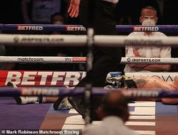 фото - Уоррингтон с помощью мата объяснил досадное поражение Ларе. Возьмёт реванш или завершит карьеру