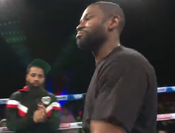 фото - Мейвезер побил Челмерса