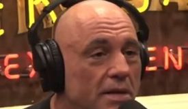 «Всем п***а, когда он придёт в UFC». Роган в восторге от тяжеловеса из США