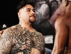 фото - Внезапно! Энди Руис ушёл от Эла Хэймона, в планах Уайлдер и Фьюри