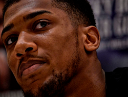 фото - Кевин Джонсон: «Джошуа такой здоровенный! Нокаут будет зрелищным»