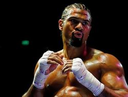 фото - «Это по-прежнему они, пусть дерутся!» Хэй — за возвращение Тайсона и Холифилда