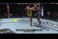 UFC Fight Night 231: Алмейда – Льюис. Видео лучших моментов, бонусы турнира