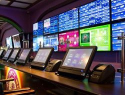 фото - Джейк Пол – Нейт Диас: букмекеры назвали фаворита