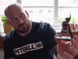 фото - Новый соперник для Нганну: KSW предлагает своего чемпиона