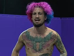 фото - Макгрегор-Холлоуэй 2. Прогноз экс-чемпиона О’Мэлли