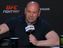 В UFC вскоре появятся новые перчатки? Реакция Уайта