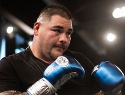 фото - Счастлив, что Поветкин нокаутировал Уайта! — экс-чемпион Руис