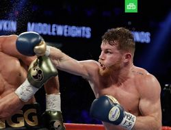 фото - Тренер: Головкин хочет Альвареса, но будет драться с тем, с кем придётся