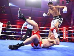 фото - Эндрэд обязан дать бой Алмханулы или останется без титула — решение WBO